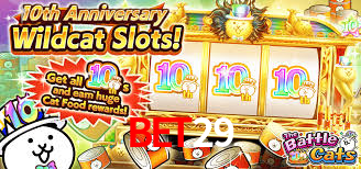 bet29.com